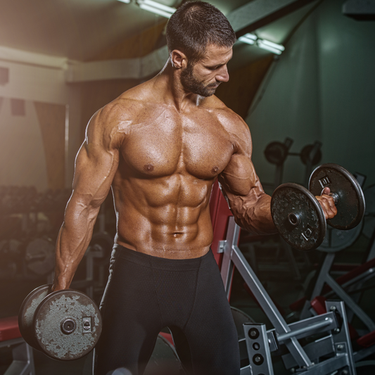 3 alternativer til Bodylab